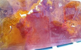 Golden Red Travonyx