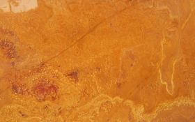 Golden Travonyx